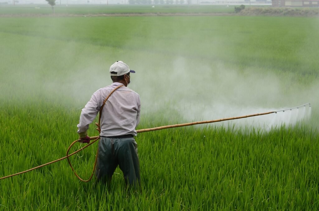 herbicide, farmer, in rice field, pesticide, poison, farmer, farmer, pesticide, pesticide, pesticide, pesticide, pesticide